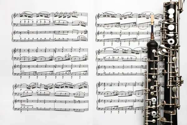 Instrumentos musicais notas de folha de música oboé — Fotografia de Stock