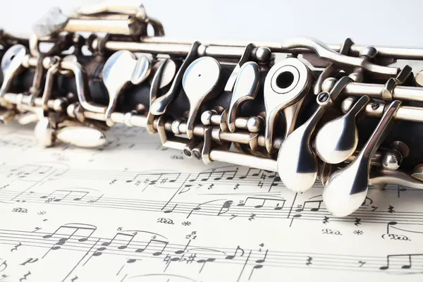 Classical music instruments oboe — Stock Photo, Image