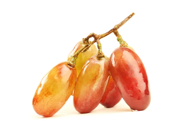 Grape. — Stock Photo, Image