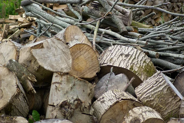 Pile of heavy wood logs for heating — Stock Photo, Image