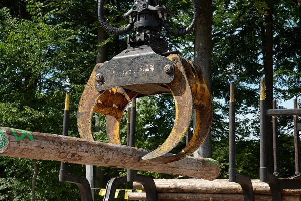 Heavy harvester loader doing forestry work — Stock Photo, Image