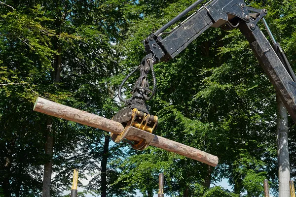 Carregador de colheitadeira pesada fazendo trabalho florestal — Fotografia de Stock