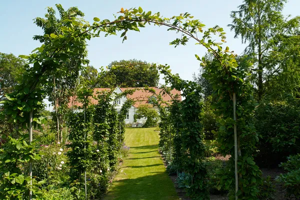 Arc tunnel de jardin dans un jardin classique — Photo