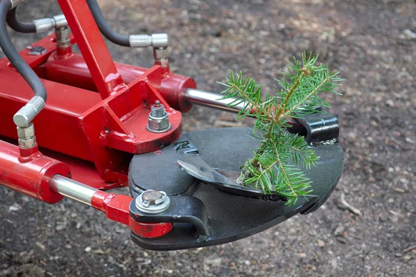 Beplantningsmaskin til trær – stockfoto