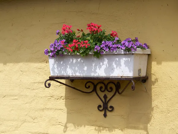 Pot de fleurs planteur classique sur un mur de briques — Photo