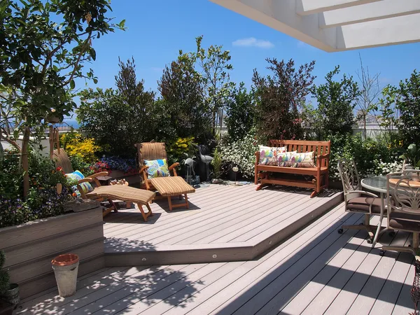 Beautiful blooming rooftop garden in city setting — Stock Photo, Image