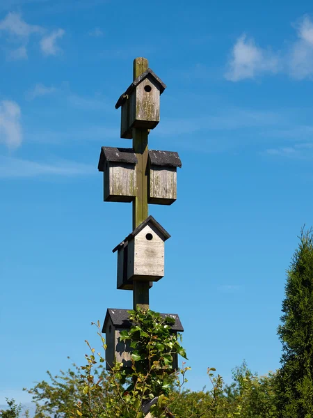 Houten vogel huis — Stockfoto