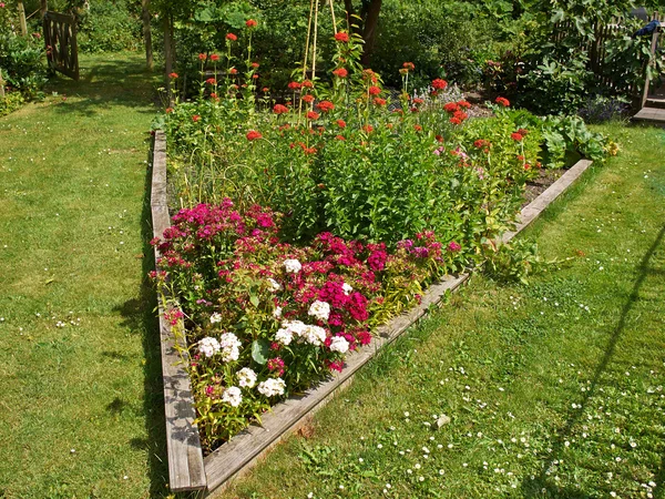 楽しい花壇 — ストック写真