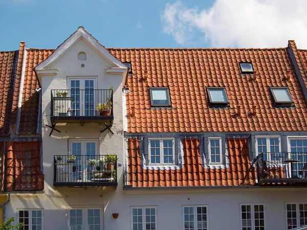 착 색 된 전통적인 덴마크 하우스 — 스톡 사진