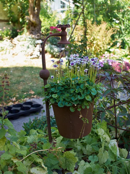 Creative hanging flowerpot — Stock Photo, Image