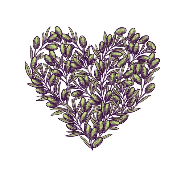 Des Olives Forme Cœur Illustration Olive Dessinée Main Nourriture Végétarienne — Image vectorielle