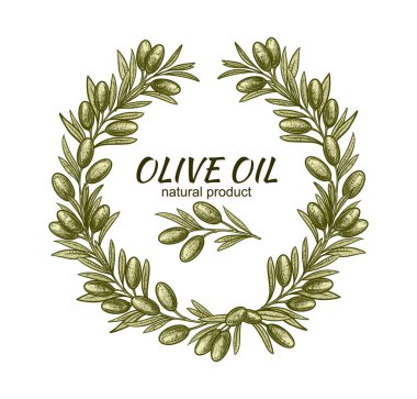 Zeytin dalları çerçevesi. Logo, desen, tebrik kartı, düğün davetiyesi oluşturmak için meyve ve yaprakların vektör çizimleri.