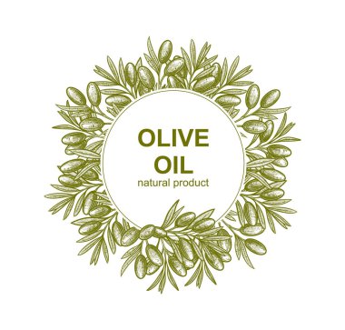 Zeytin dalları çerçevesi. Logo, desen, tebrik kartı, düğün davetiyesi oluşturmak için meyve ve yaprakların vektör çizimleri.