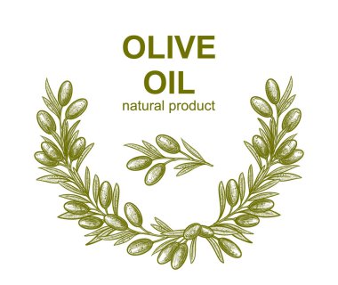 Zeytin dalları. Logo, desen, tebrik kartı, düğün davetiyesi oluşturmak için meyve ve yaprakların vektör çizimleri.