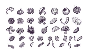 Sebze takımı. El çizimi vektör çizimi, kafe, menü, mutfak için. Vejetaryen yemeği..