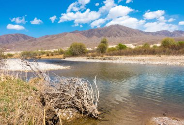 Dağların arasındaki nehir. Sakin şeffaf ovda. Yaz manzarası. Boom Gorge, Kırgızistan