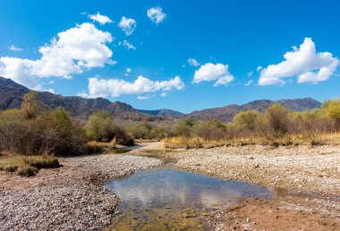 Dağların arasındaki nehir. Sakin şeffaf ovda. Yaz manzarası. Boom Gorge, Kırgızistan