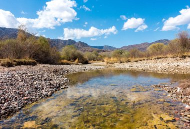 Dağların arasındaki nehir. Sakin şeffaf ovda. Yaz manzarası. Boom Gorge, Kırgızistan