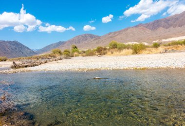 Dağların arasındaki nehir. Sakin şeffaf ovda. Yaz manzarası. Boom Gorge, Kırgızistan