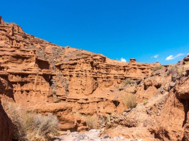 Kil kırmızı masallar. Kırgızistan 'daki Issyk-Kul bölgesi. Güzel dağ manzarası. Turizm ve seyahat