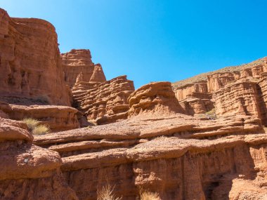 Kil kırmızı masallar. Kırgızistan 'daki Issyk-Kul bölgesi. Güzel dağ manzarası. Turizm ve seyahat