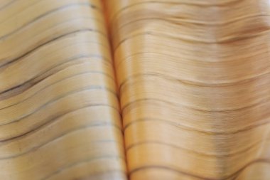 Kumaş arka plan ışığı tarçın kuru yaprağı. Metin veya resim tasarımı için bej muz yaprağı kullanımının yakın plan arkaplanı