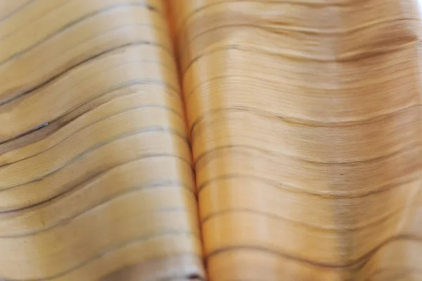 Texture Background Backlight Cinnamon Dry Leaf Closeup Background Beige Banana — Stockfoto