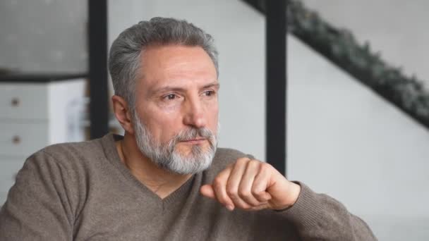 Retrato de un hombre de pelo gris sereno y despreocupado, guapo y de mediana edad — Vídeos de Stock