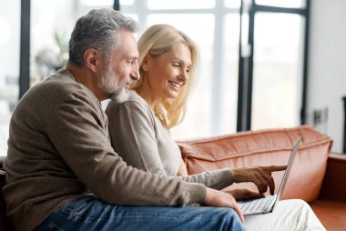 Orta yaşlı şirin bir çift boş zamanlarını evde dizüstü bilgisayarla geçirir.