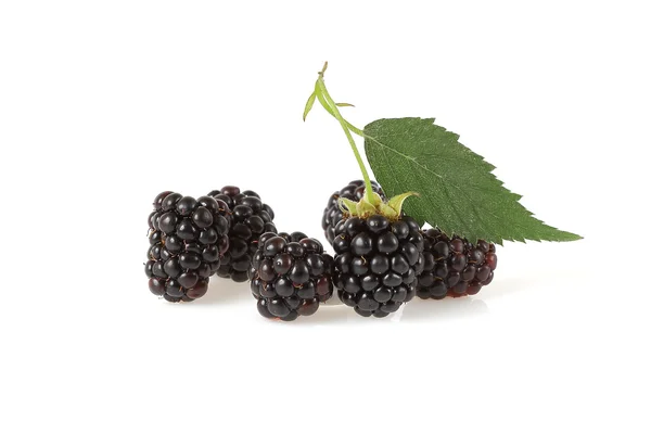 Blackberries — Stock Photo, Image