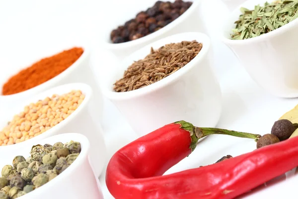 Selection of spices on white bowls — Stock Photo, Image