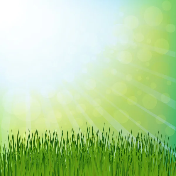 Spring green grass and sun rays. — Stock Vector