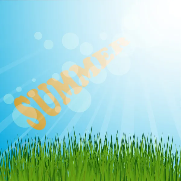 Grass background summer — Stock Vector