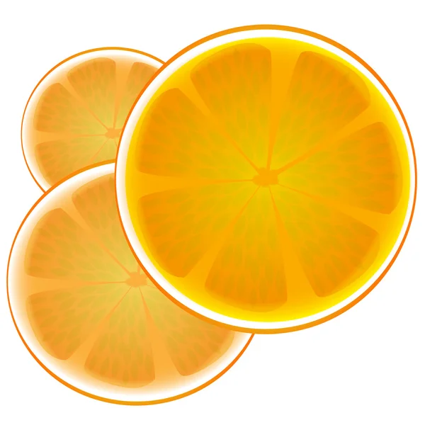 Citrus background — Stock Vector