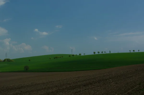 Pejzaż pole — Zdjęcie stockowe