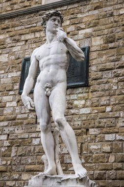 david