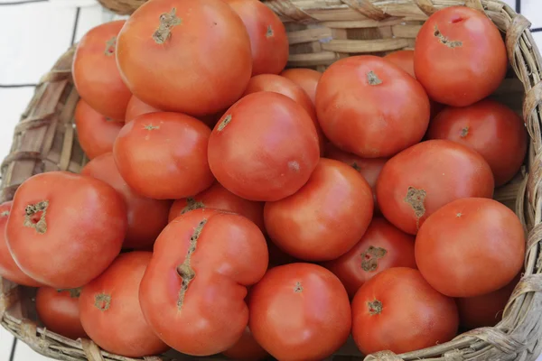 Ecologische tomaten — Stockfoto