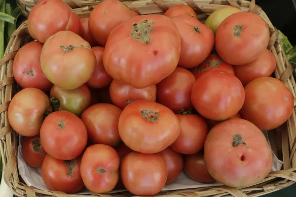 Tomates ecológicos — Foto de Stock