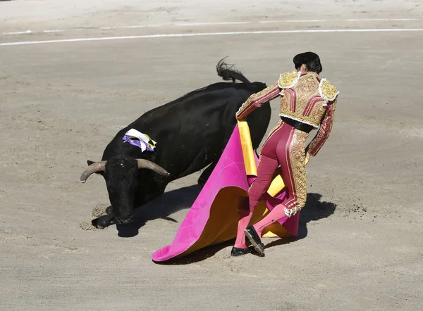 Bullfighter no ringue — Fotografia de Stock