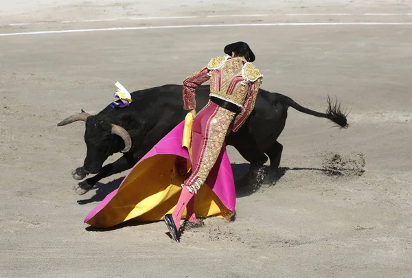 Bullfighter in the ring — Stock Photo, Image
