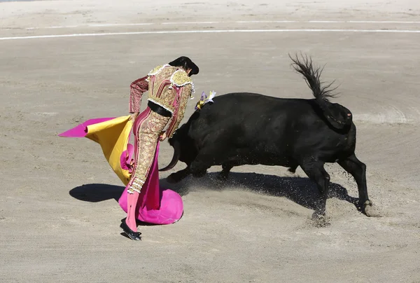 Bullfighter in the ring — Stock Photo, Image