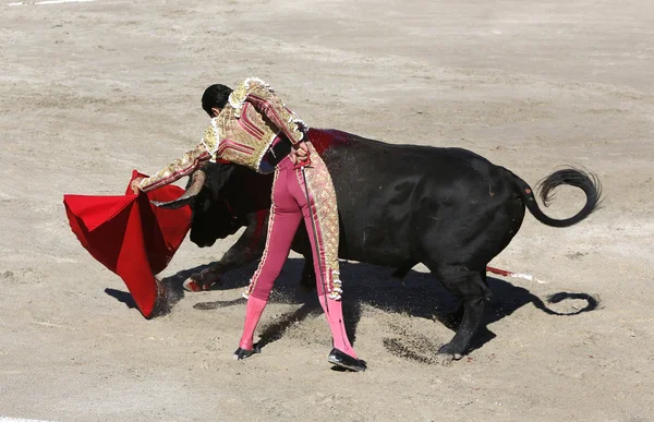 Bullfighter in the ring — Stock Photo, Image