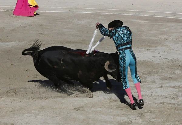 Bullfighter. — Fotografia de Stock