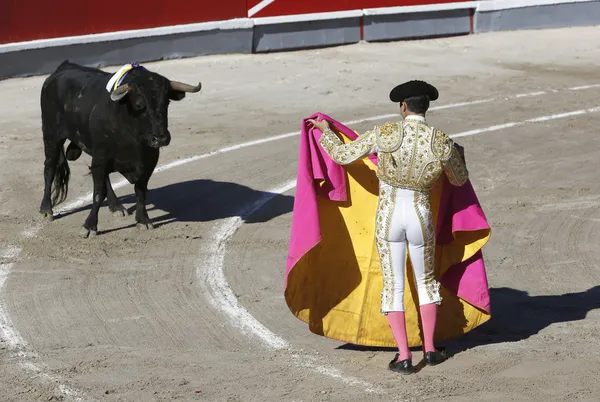 Bullfighter in the ring — Stock Photo, Image