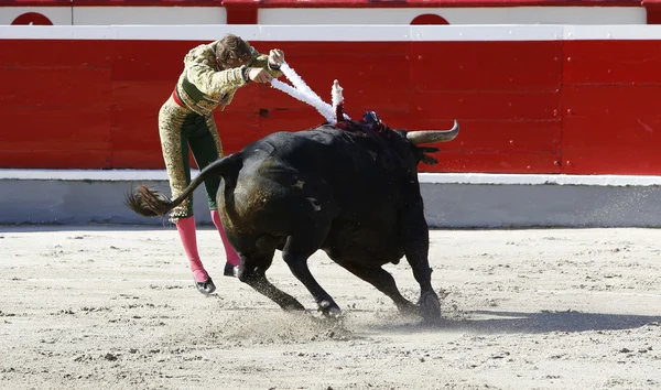 Stierkämpfer im Ring — Stockfoto