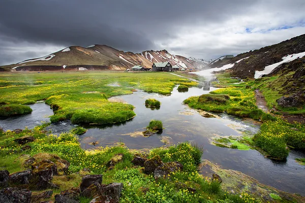 Pequeno rio e flores frescas florescendo perto de fontes termais em Landmannalaugar, Islândia — Fotografia de Stock