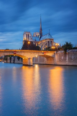 Notre dame de paris, sunset