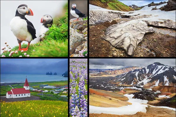 Isländska landskap collage — Stockfoto