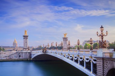 The Grand Palais and Pont Alexandre III clipart