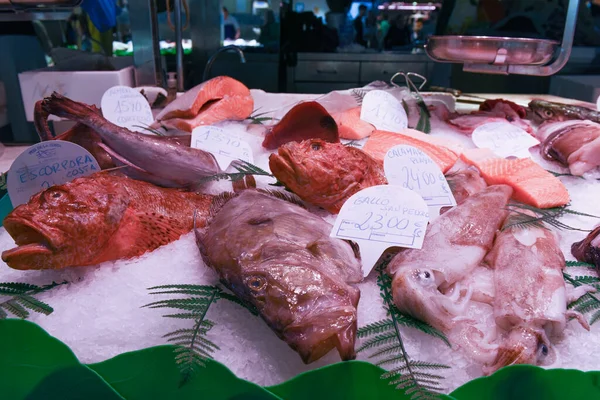 Big fishes and squids lie on cold ice of counter on food market. Delicious fresh seafood with price tags for sale in store close view